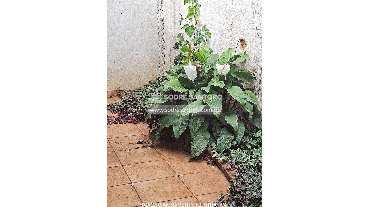 Casa (Desocupado) - SANTA CASA - MIRASSOL - SP — foto 10