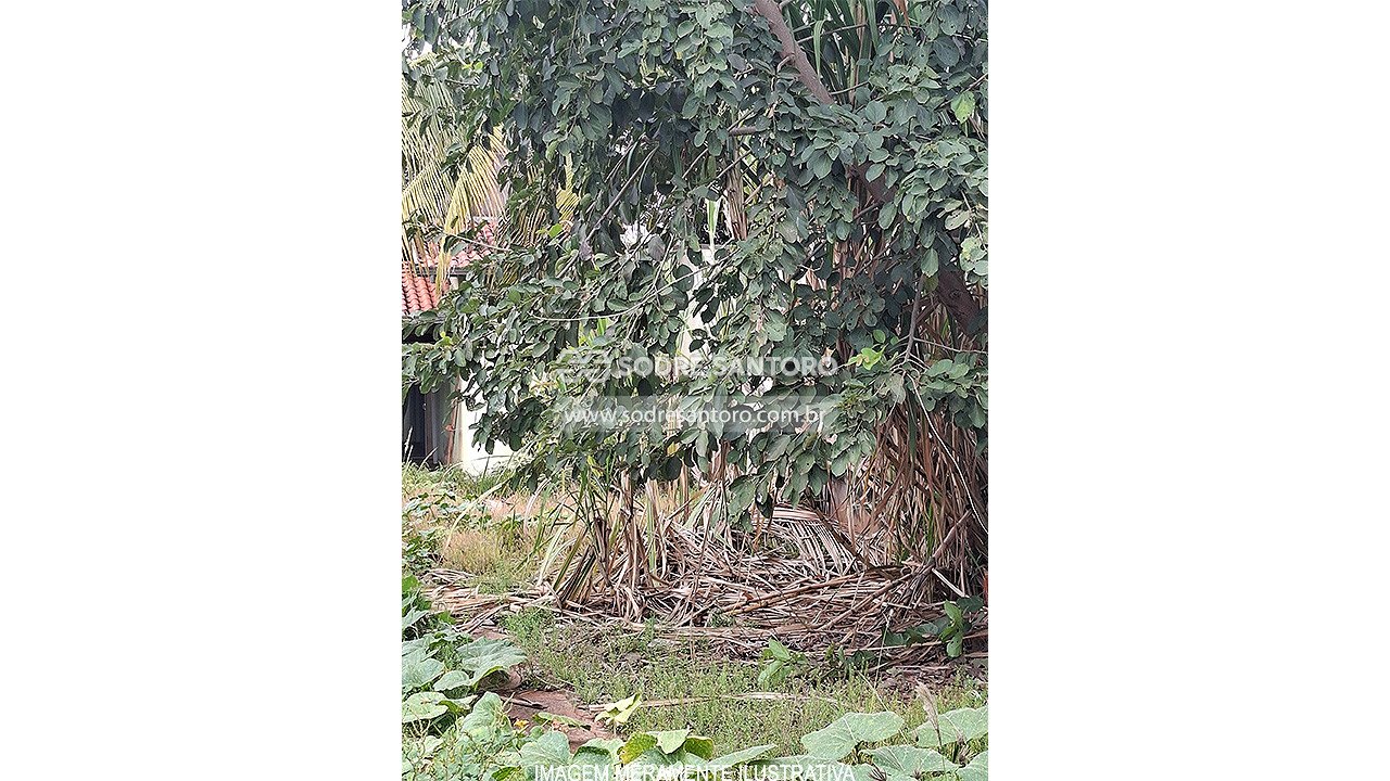 Casa (Desocupado) - SANTA CASA - MIRASSOL - SP — foto 4
