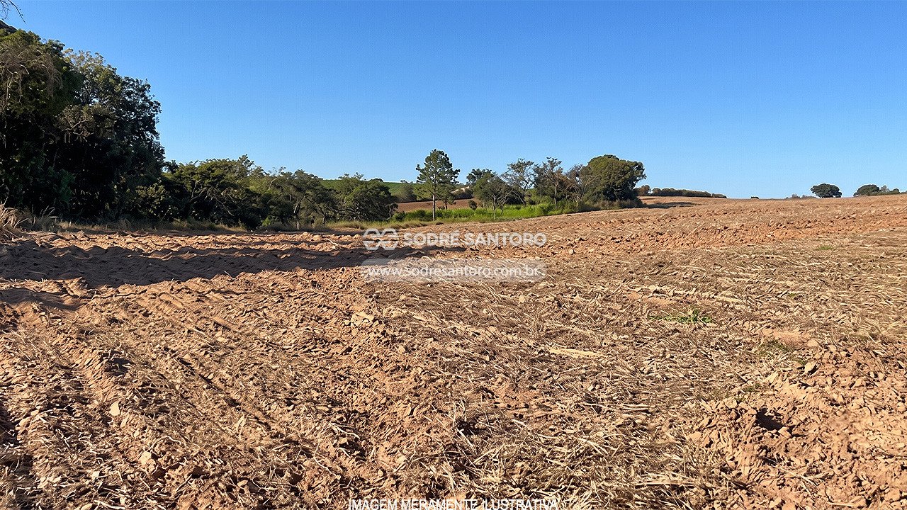 Área de terras (Desocupado) - IPANEMA DAS PEDRAS - SOROCABA - SP — foto 3