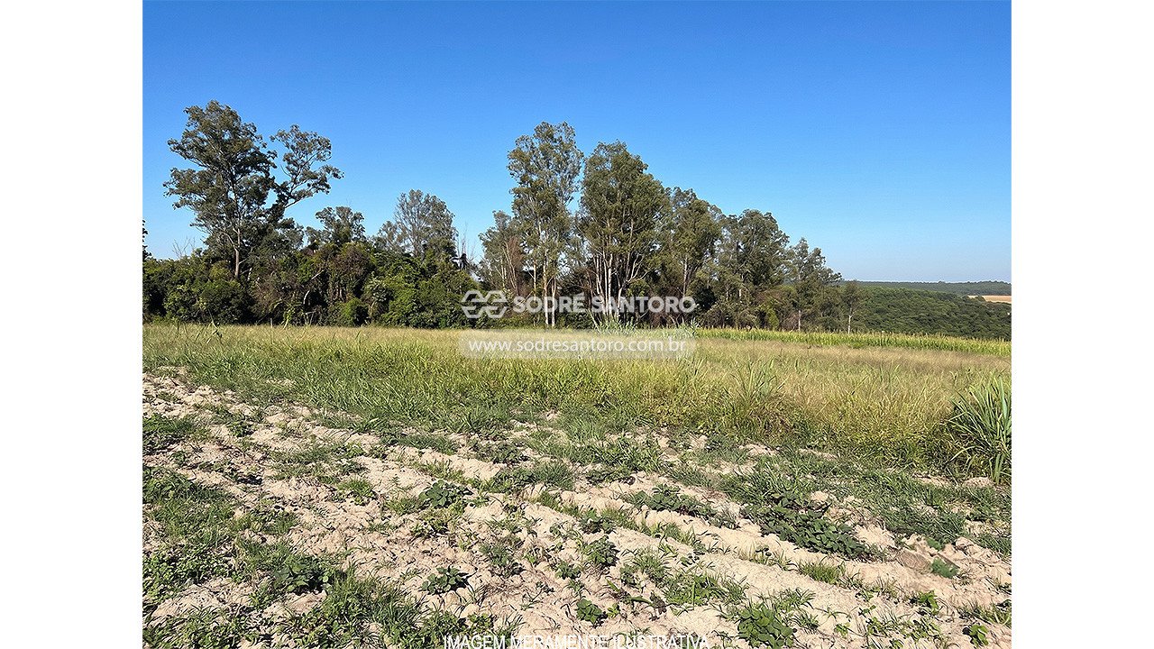 Área de terras (Desocupado) - IPANEMA DAS PEDRAS - SOROCABA - SP — foto 5