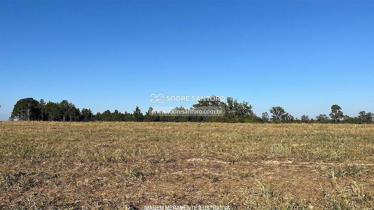 Área de terras (Desocupado) - IPANEMA DAS PEDRAS - SOROCABA - SP — foto 6