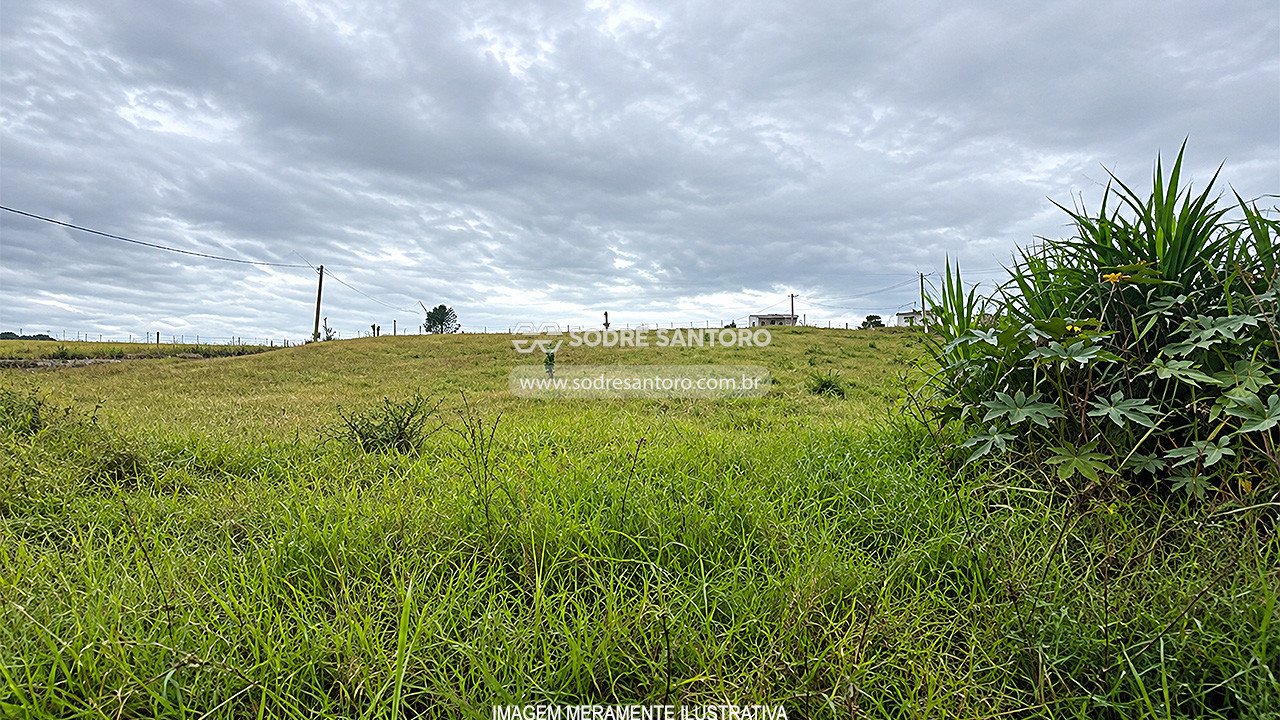 Terreno no Bairro dos Nogueiras (foto 3 de 4)