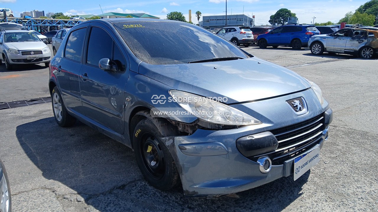peugeot 307 20s a grif