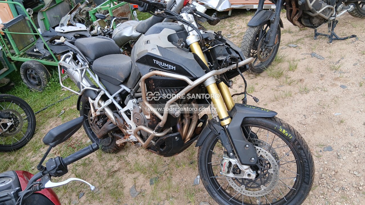 Triumph Tiger 1200 Ra Ex TIGER 1200 RALLY EXPLORER