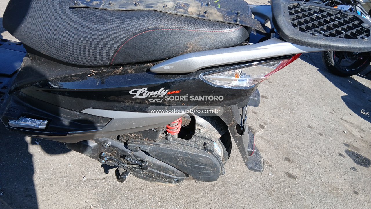 Jtz Lindy 125 - 2024/2025 — foto 5 de 11