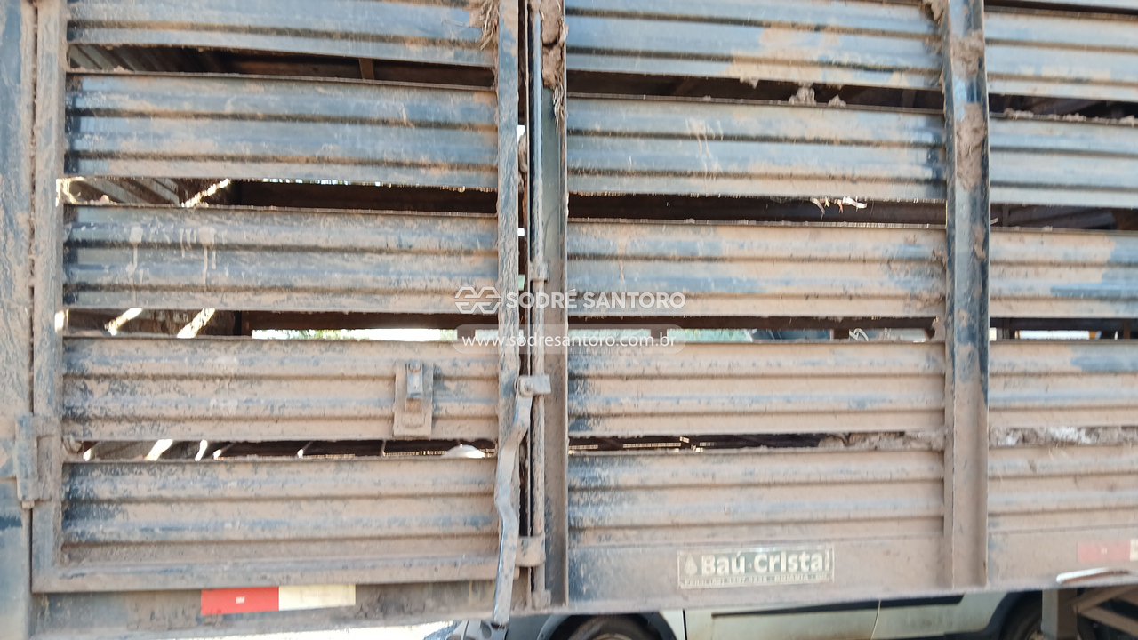 Galego Truck Reb SR - 2008/2008 — foto 8 de 9