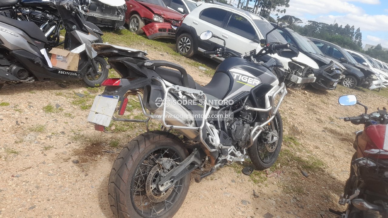Triumph Tiger 900 RA AE - 2023/2024 — foto 4 de 12