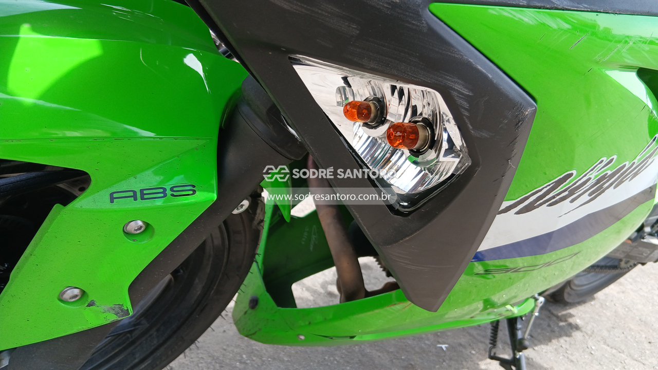 Kawasaki Ninja 300 - 2026/2026 — foto 10 de 12