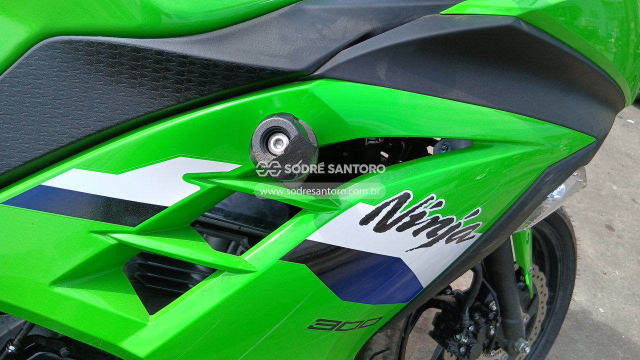 Kawasaki Ninja 300 - 2026/2026 — foto 12 de 12