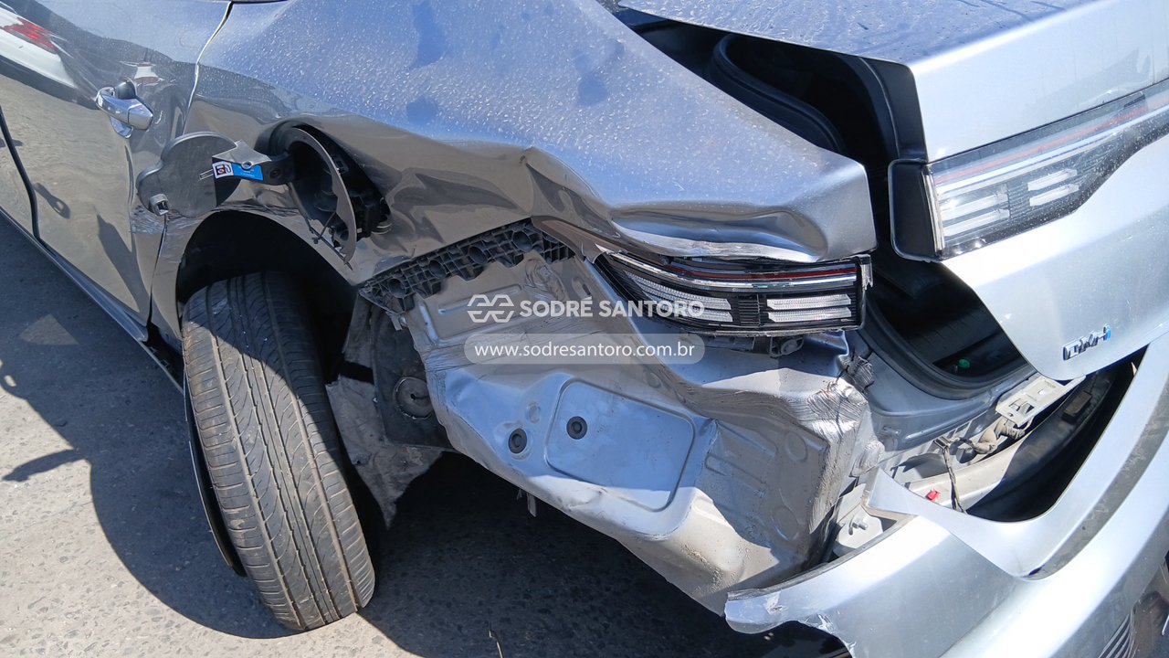 Byd King GS DM - 2024/2025 — foto 10 de 12