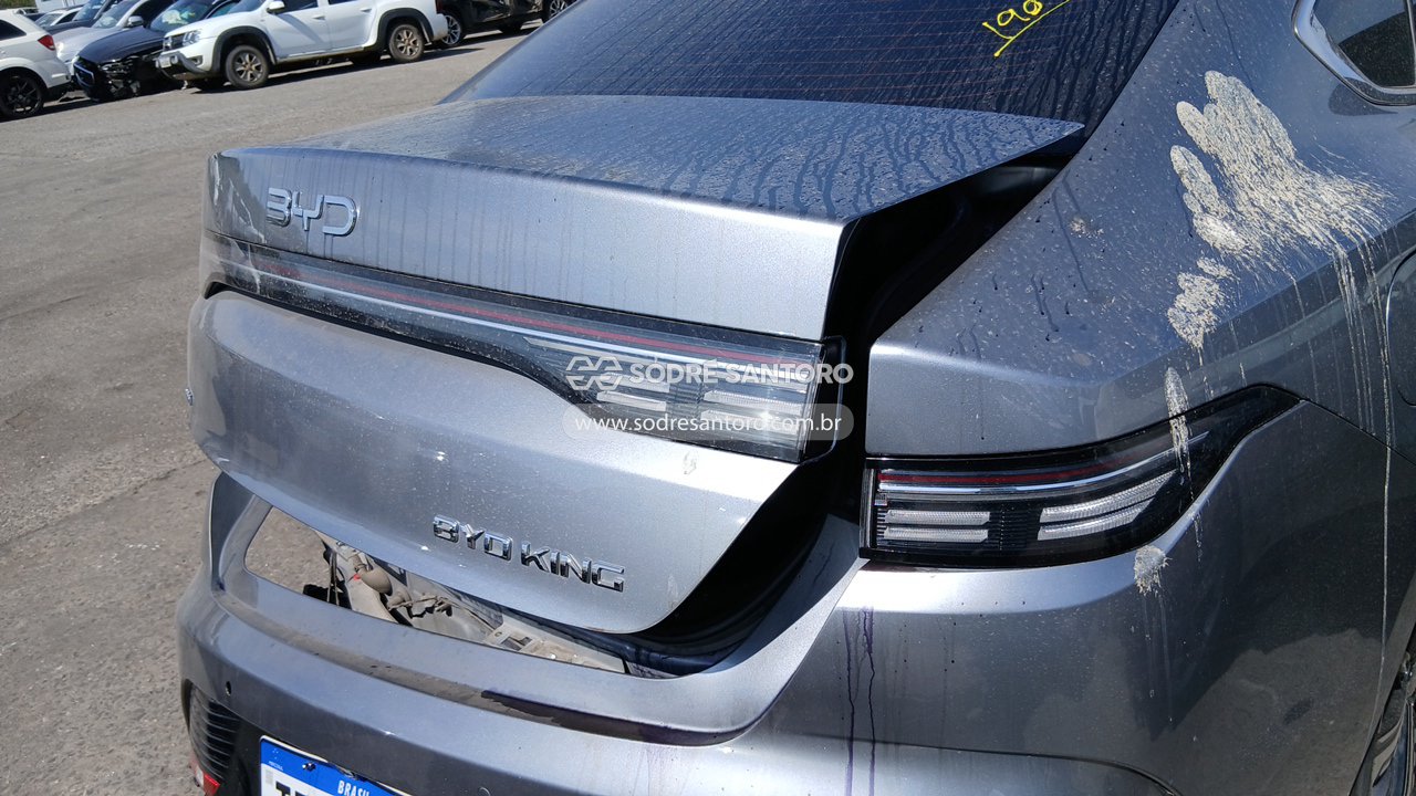 Byd King GS DM - 2024/2025 — foto 12 de 12