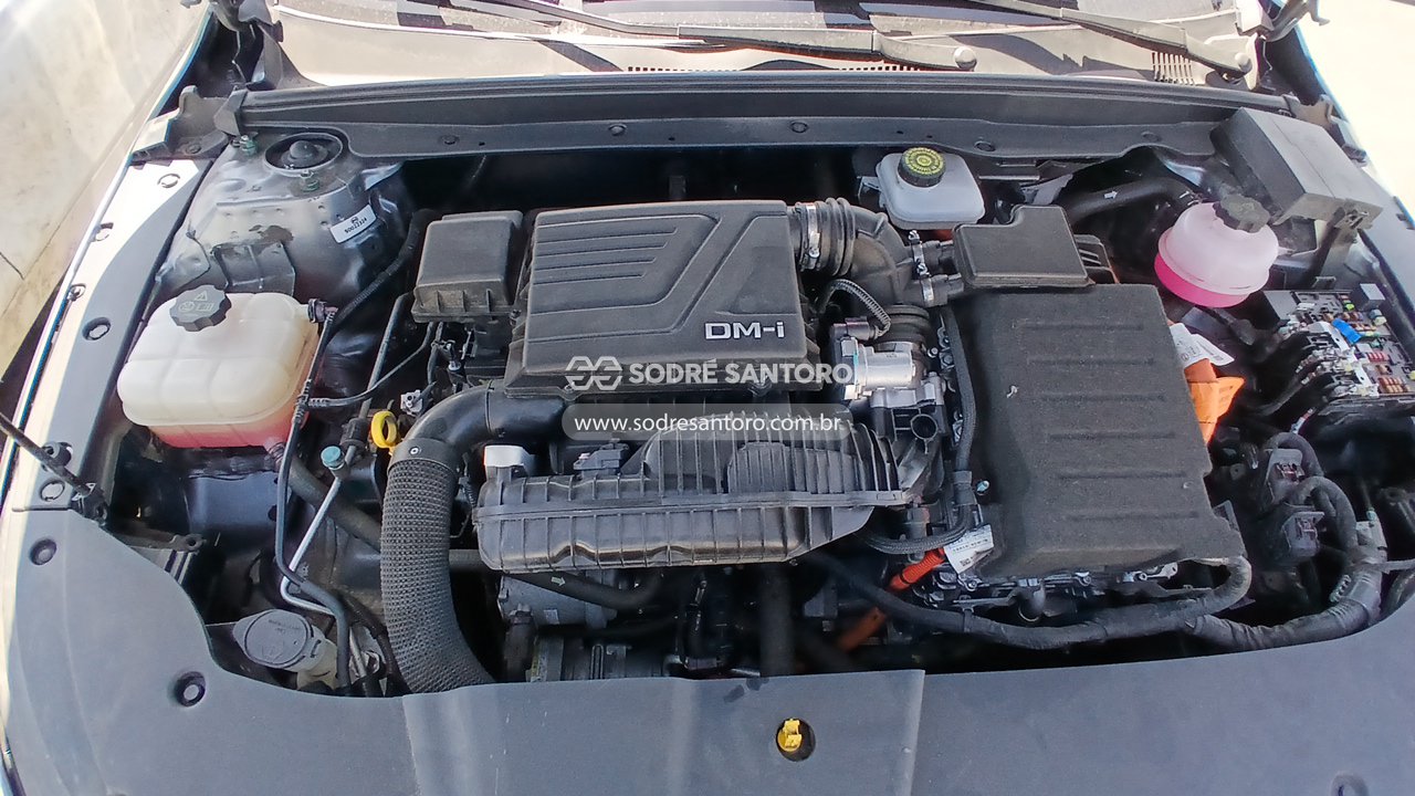 Byd King GS DM - 2024/2025 — foto 5 de 12