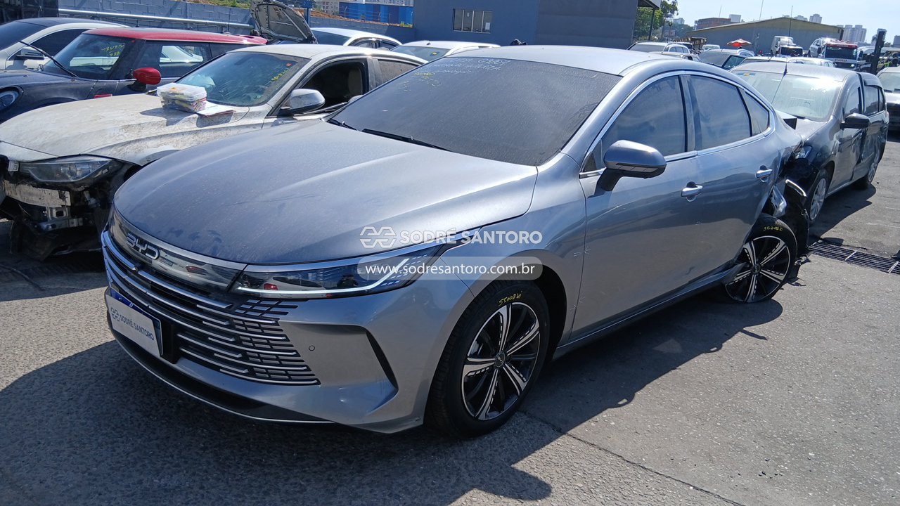 Byd King GS DM - 2024/2025 — foto 3 de 12