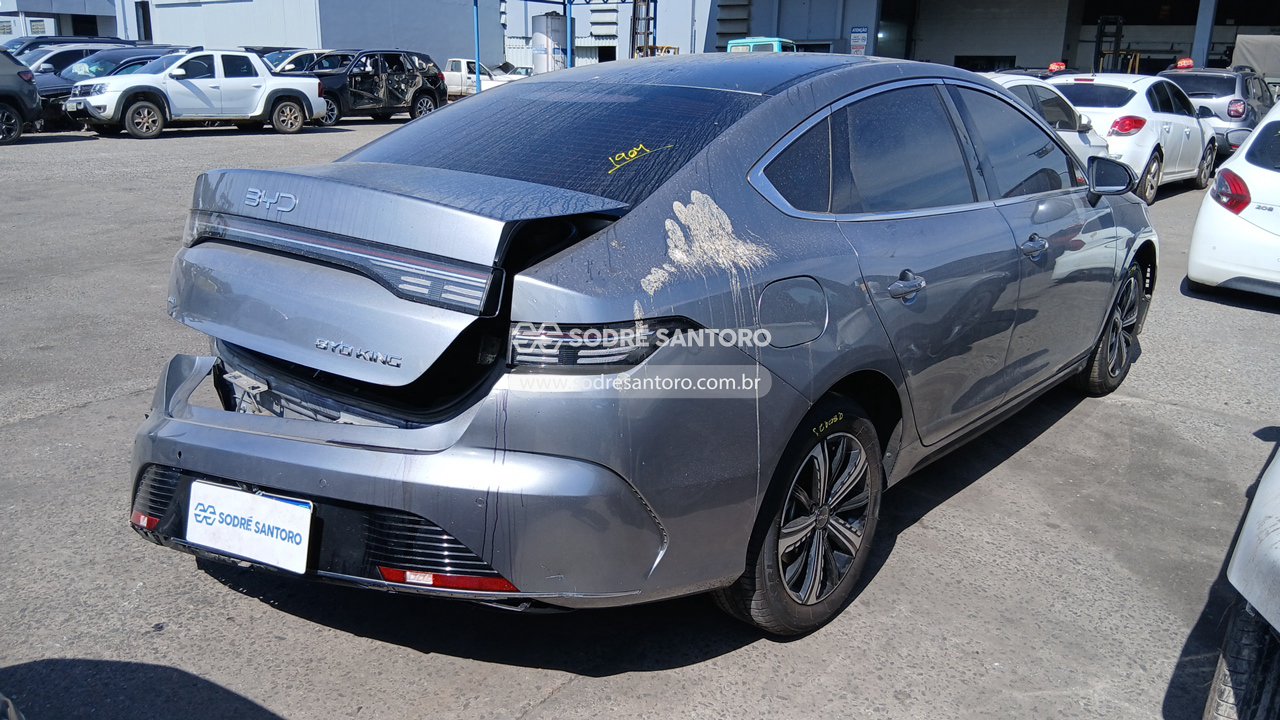 Byd King GS DM - 2024/2025 — foto 4 de 12