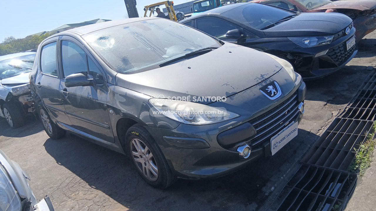 Peugeot 307 16 FX PR - 2011/2012