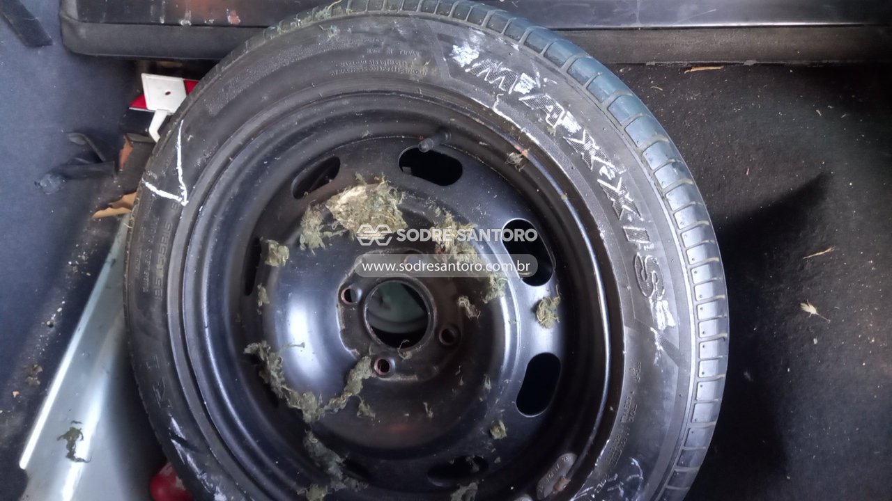 Citroen C3 Glx 14 Flex - 2006/2007 — foto 10 de 13