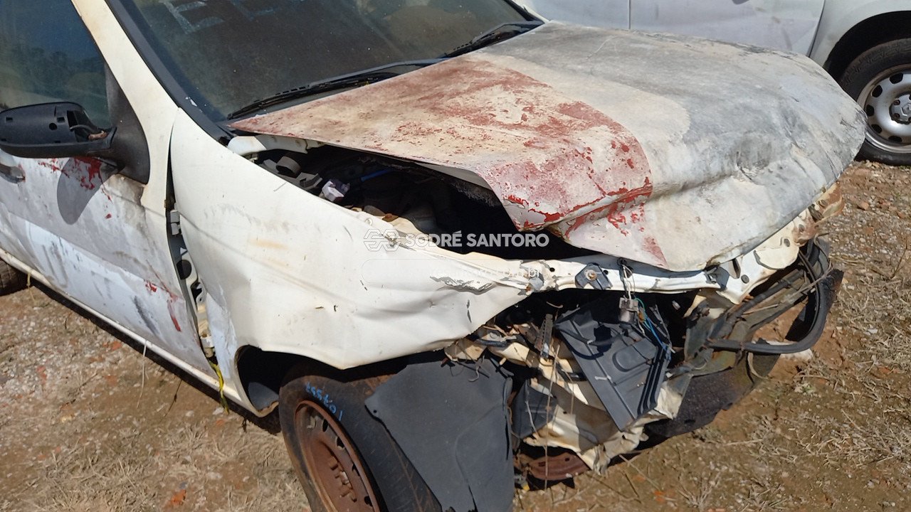 Foto 10 de 13: FIAT - PALIO 2009/2010