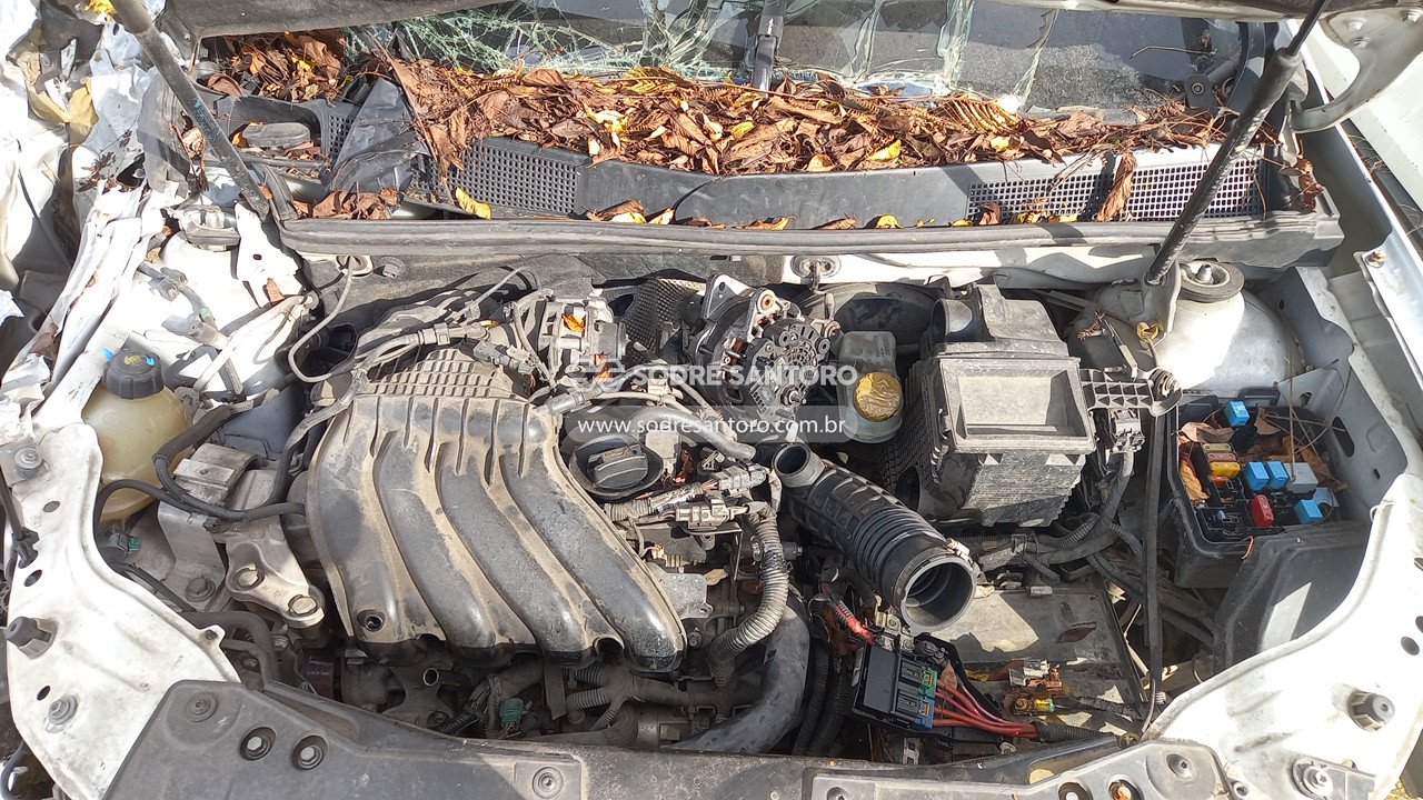Foto 5: RENAULT - DUSTER ZEN 16 2021/2022