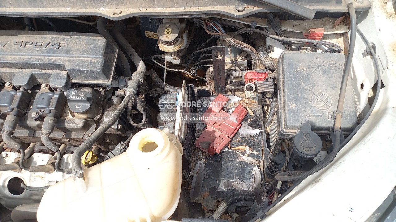 Foto 11 de 13: CHEVROLET - SPIN 1.8L MT LS E 2019/2020