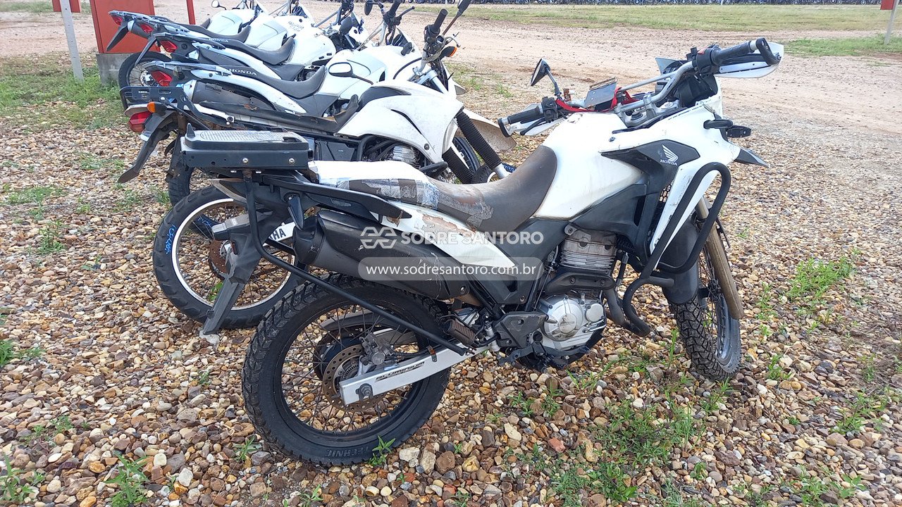 Foto 4: HONDA - XRE 300/ 300 ABS/ FLEX 2019/2019