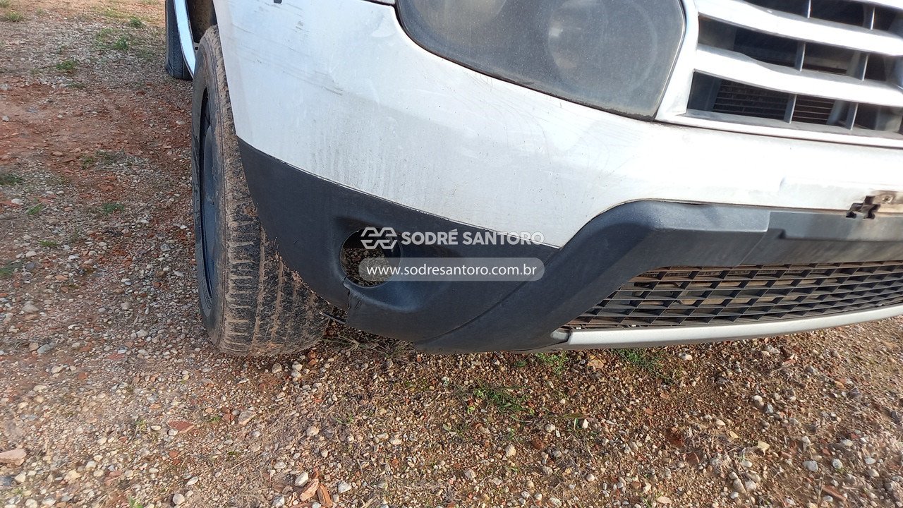 Foto 12 de 13: RENAULT - DUSTER. 2013/2014