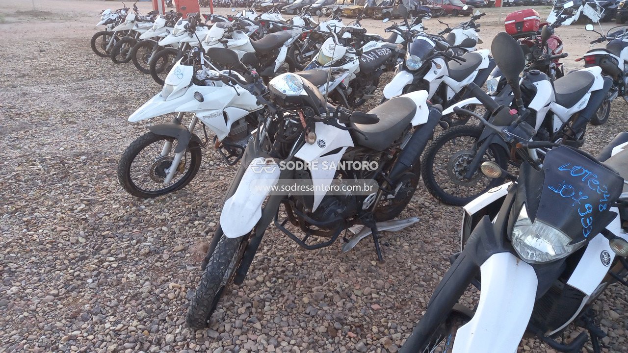 Foto 3: YAMAHA - XT 660R 2015/2016