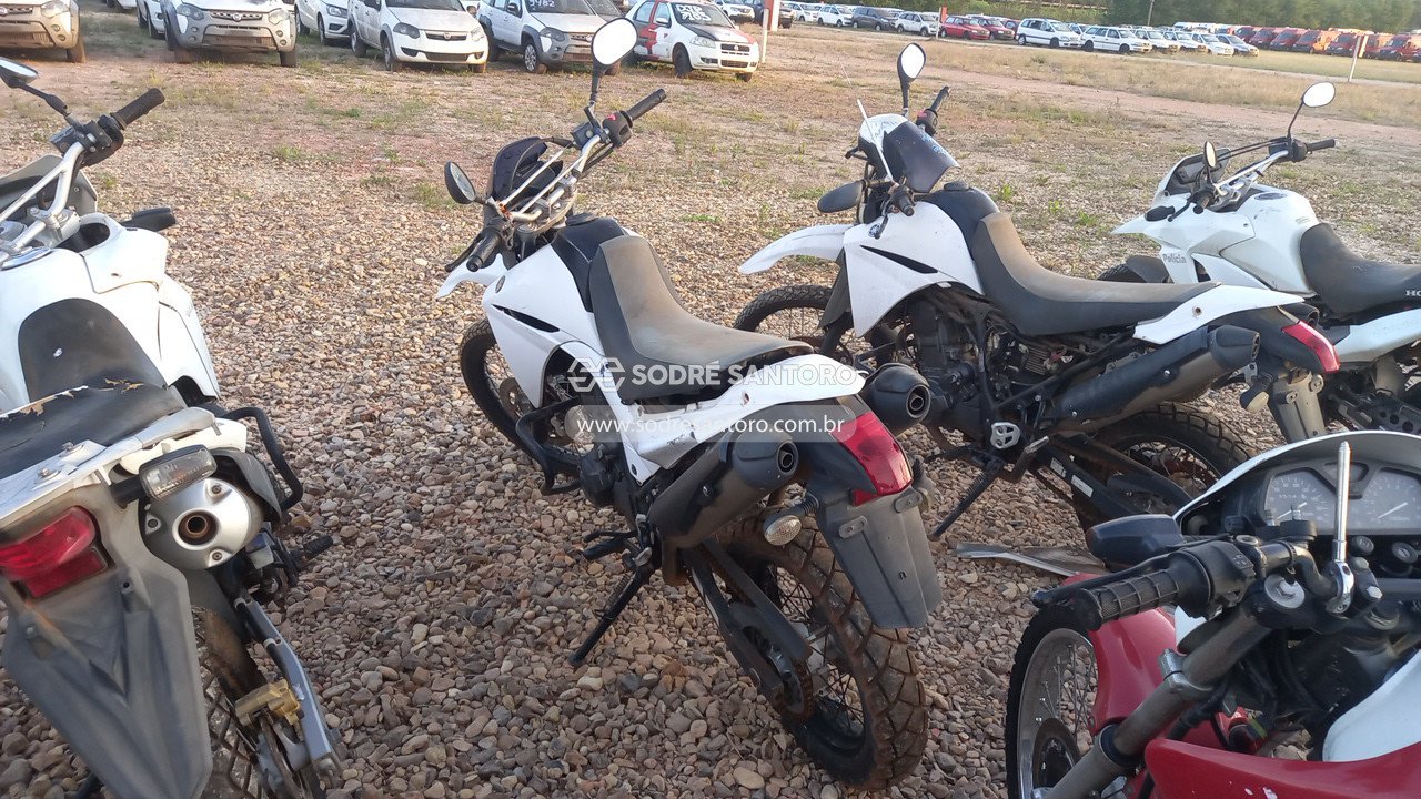 Foto 2: YAMAHA - XT 660R 2015/2016