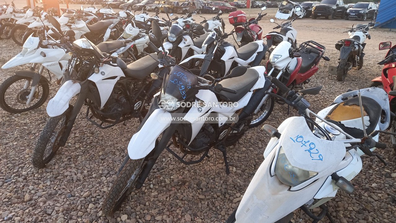 Foto 3: YAMAHA - XT 660R 2015/2016