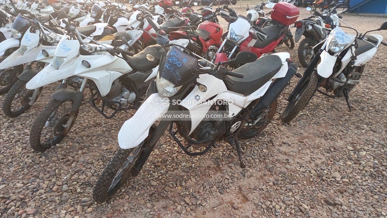 Foto 3: YAMAHA - XT 660R 2015/2016