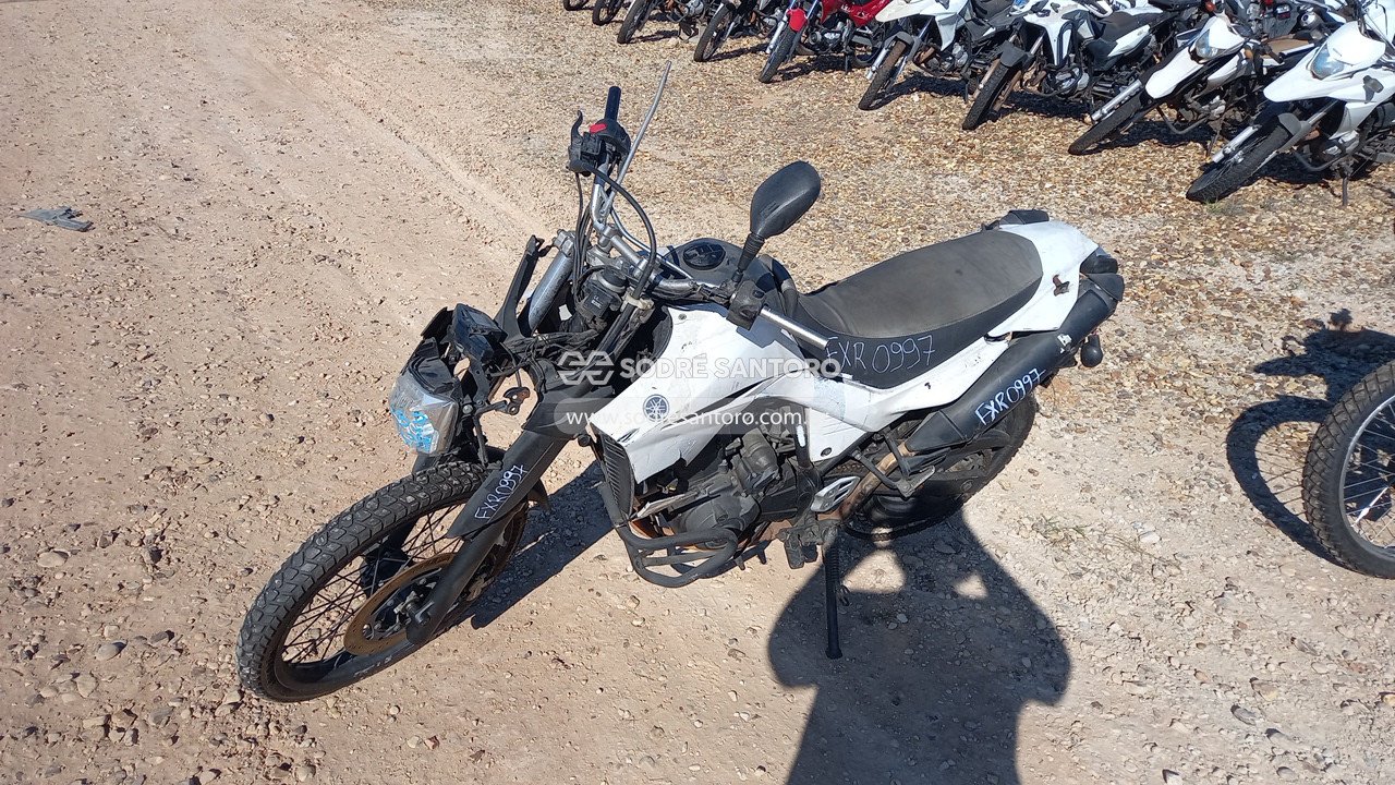 Foto 3: YAMAHA - XT 660R 2016/2017