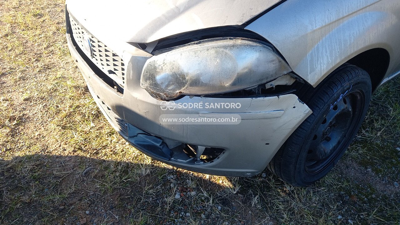 Foto 11 de 13: FIAT - PALIO WEEK TREKKING 2012/2012