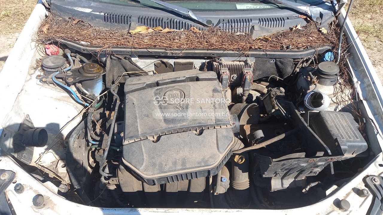 Foto 5: FIAT - PALIO WK TREKK 1.6 2012/2013