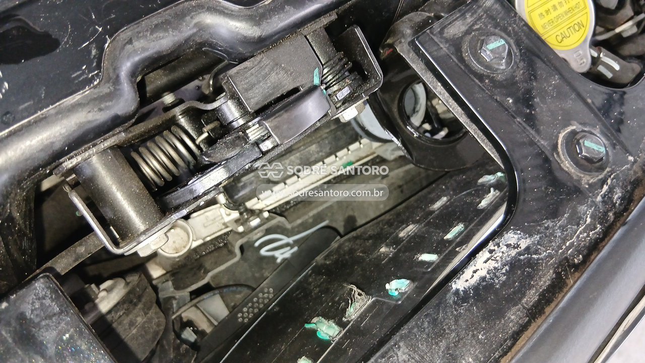 Foto 11 de 13: BYD - DOLPHIN MINI GS5EV 2024/2025
