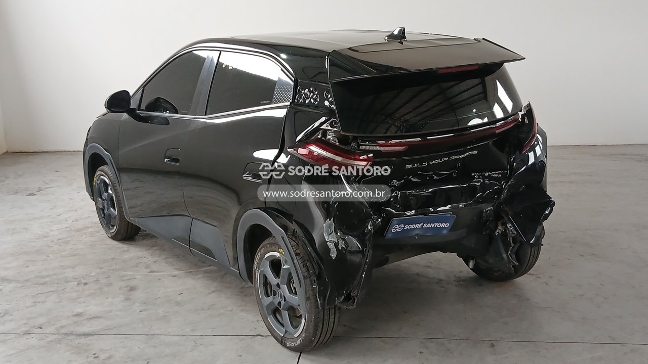 Foto 2: BYD - DOLPHIN MINI GS5EV 2024/2025
