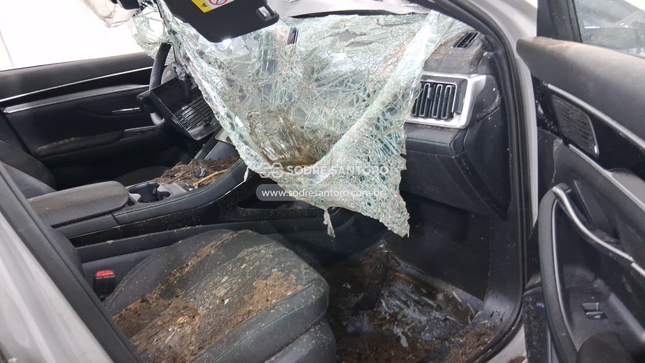 Foto 7 de 13: BYD - SONG PLUS GS DM 2026/2027