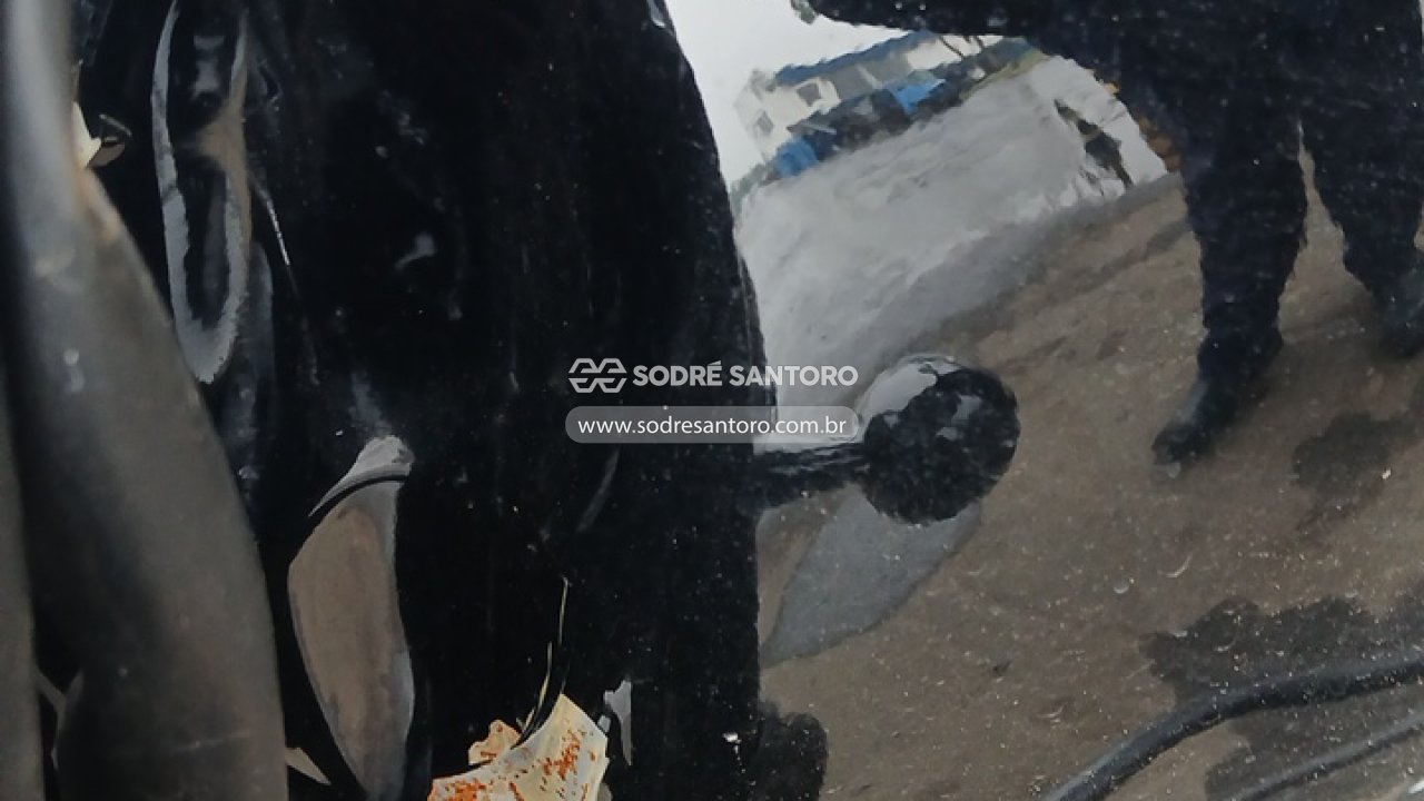 Royal Enfield Meteor F - 2025/2025 — foto 8 de 9