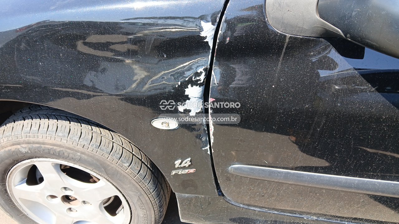 Peugeot 206 Sw14 Pres FX - 2007/2008 — foto 11 de 12