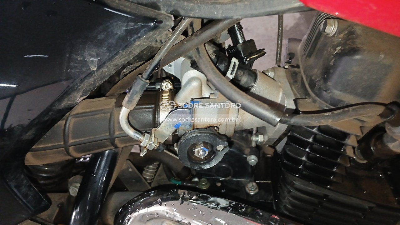 Bashan Bull Bm-t 180 - 2025/2026 — foto 6 de 12
