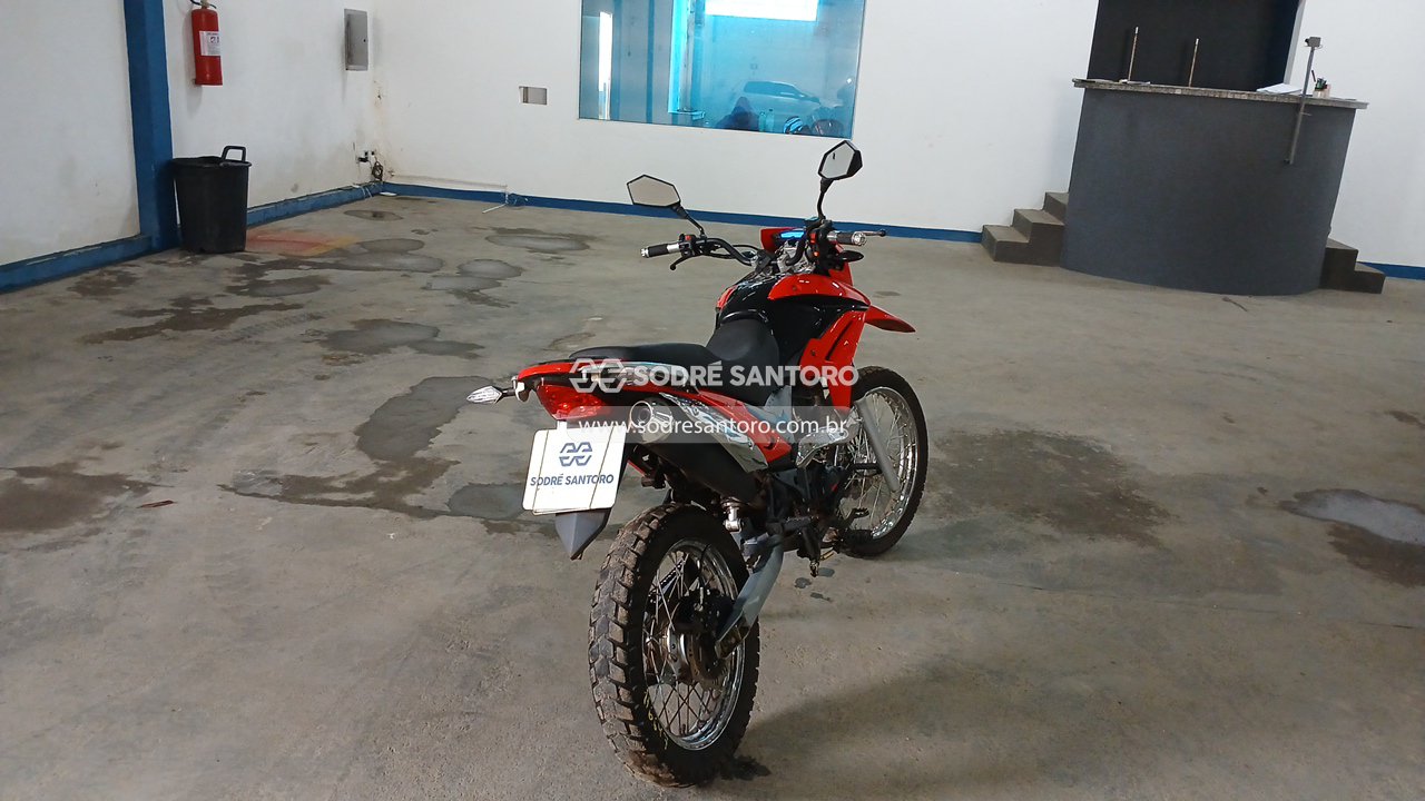 Bashan Bull Bm-t 180 - 2025/2026 — foto 4 de 12
