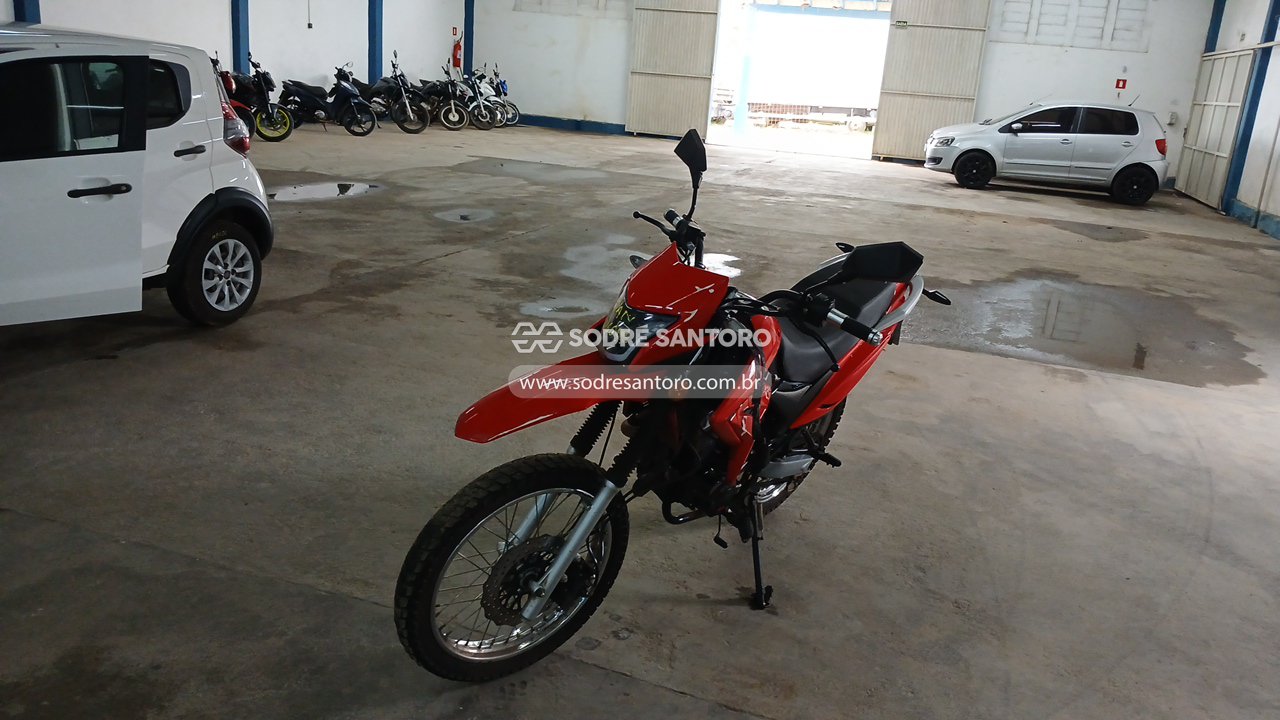 Bashan Bull Bm-t 180 - 2025/2026 — foto 3 de 12