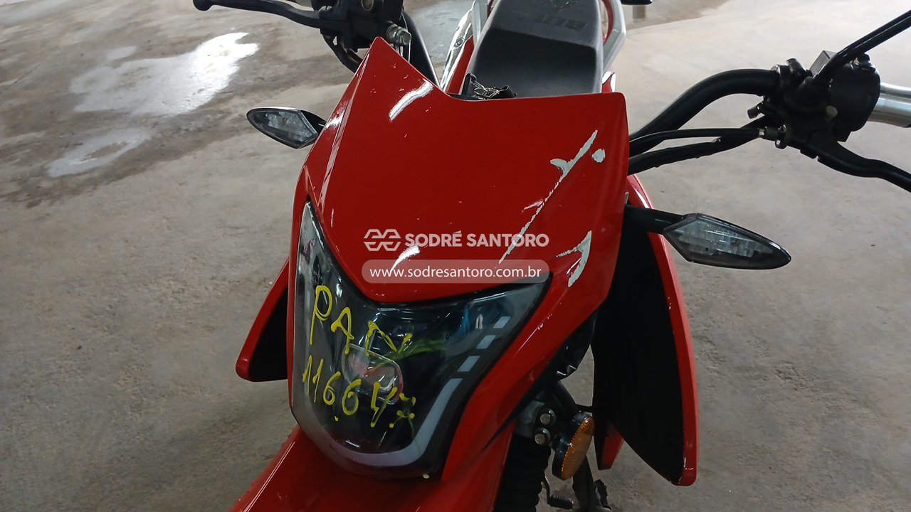 Bashan Bull Bm-t 180 - 2025/2026 — foto 11 de 12