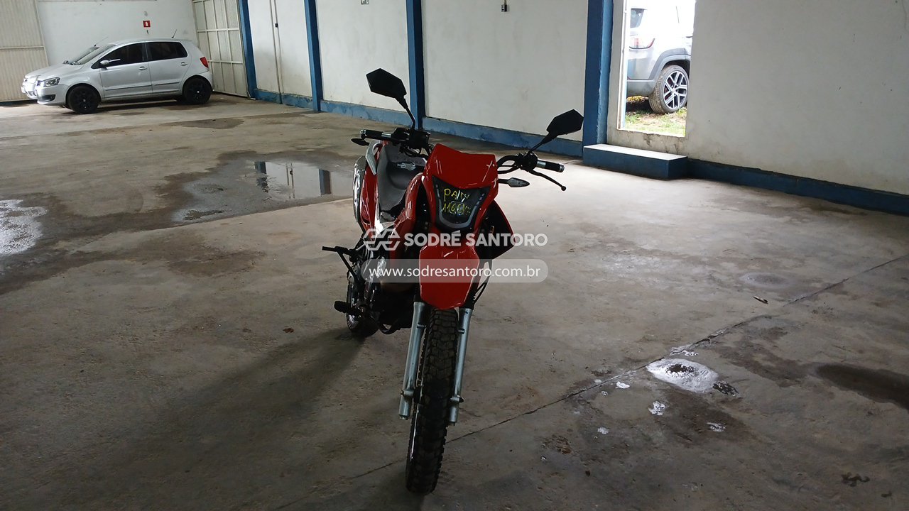 Bashan Bull Bm-t 180 - 2025/2026 — foto 12 de 12