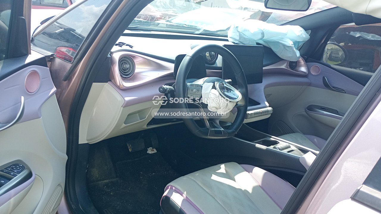 Byd Dolphin Plus 310ev - 2023/2024 — foto 6 de 12