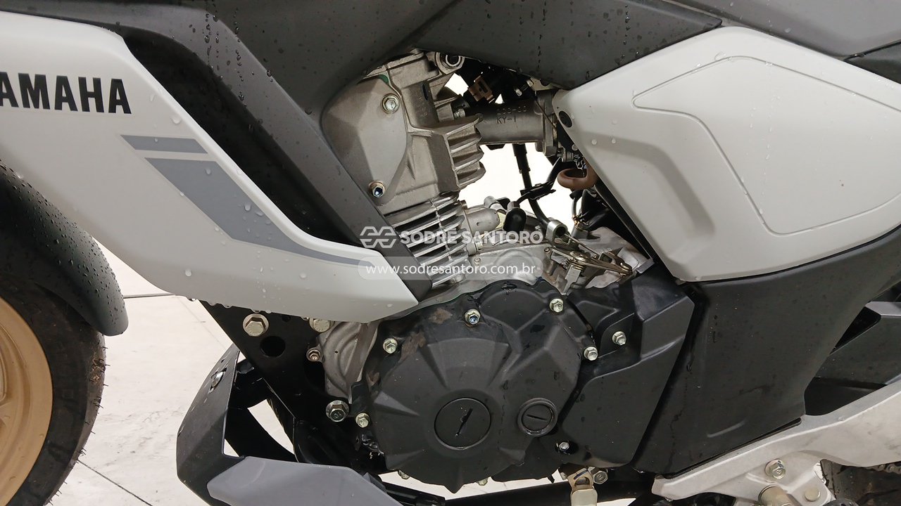 Foto 6 de 8: YAMAHA - FZ 15 FAZER ABS 2026/2026