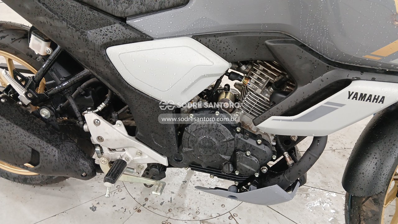 Foto 5: YAMAHA - FZ 15 FAZER ABS 2026/2026