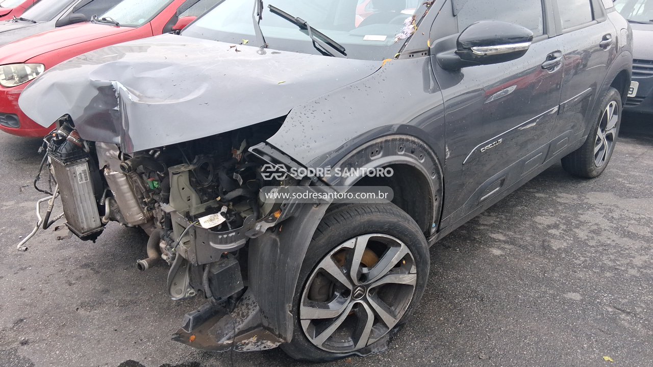 Foto 12 de 13: CITROEN - C4 CACTUS SHINE T 2019/2019