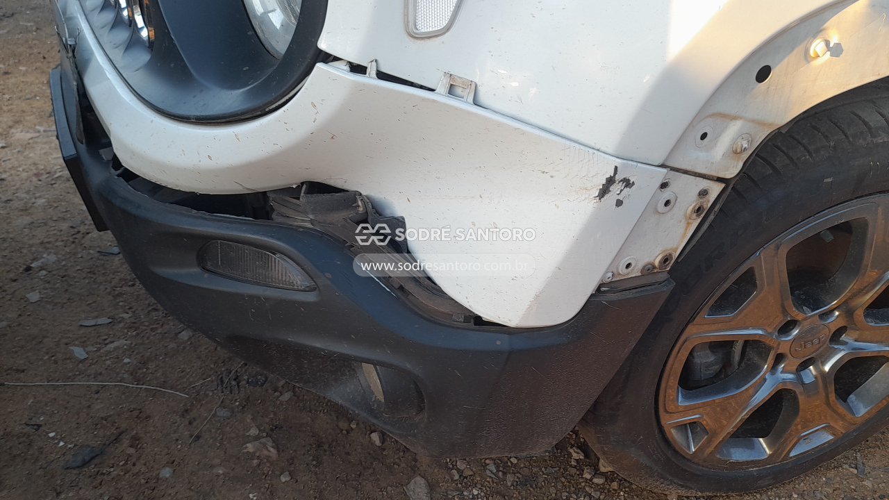Foto 12 de 12: JEEP - RENEGADE LNGTD AT 2018/2018