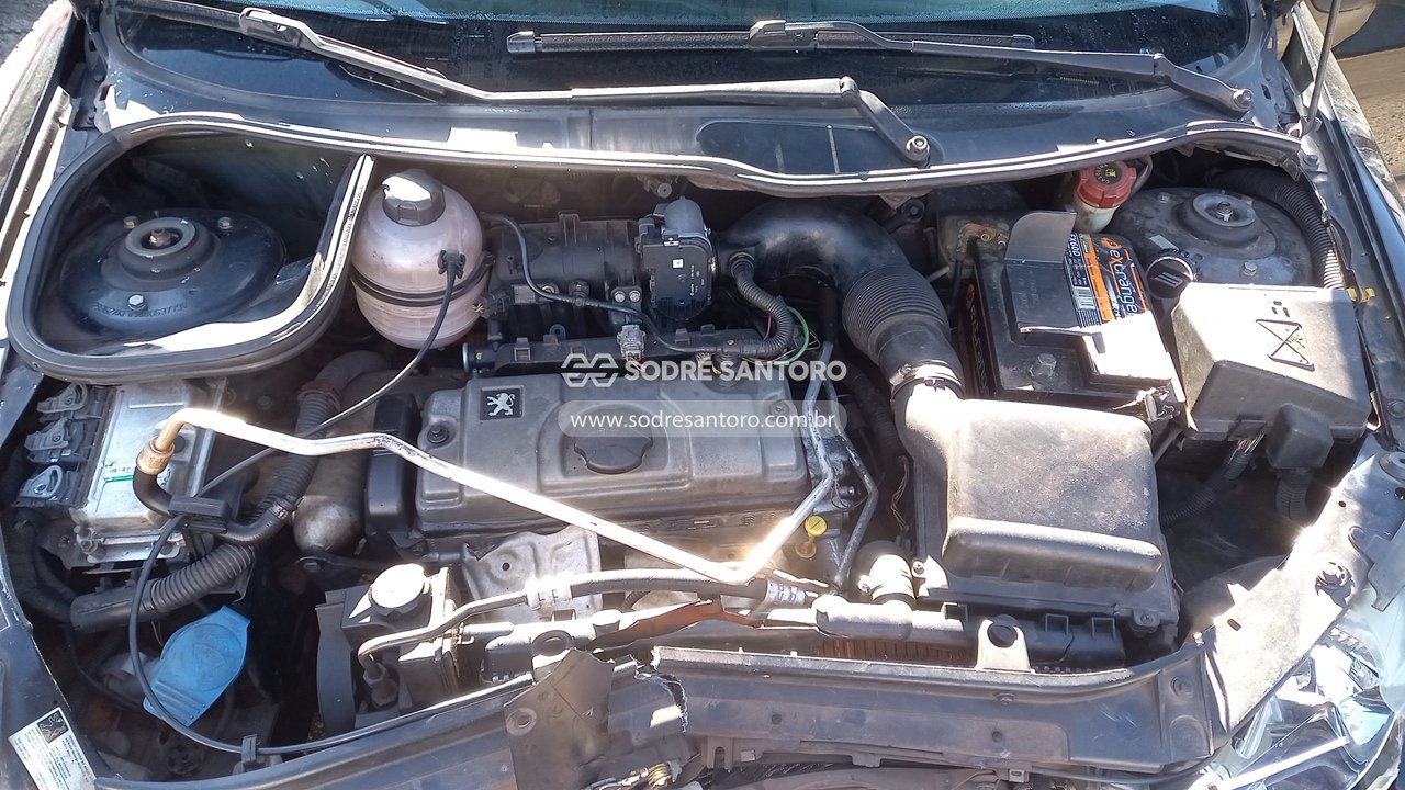 Foto 5: PEUGEOT - 206 PRESENCE 2008/2008