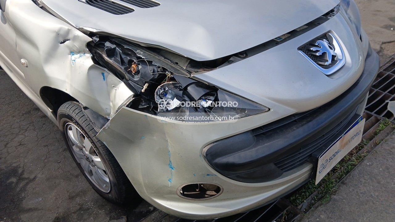 Foto 12 de 13: PEUGEOT - 207 XR 2008/2009