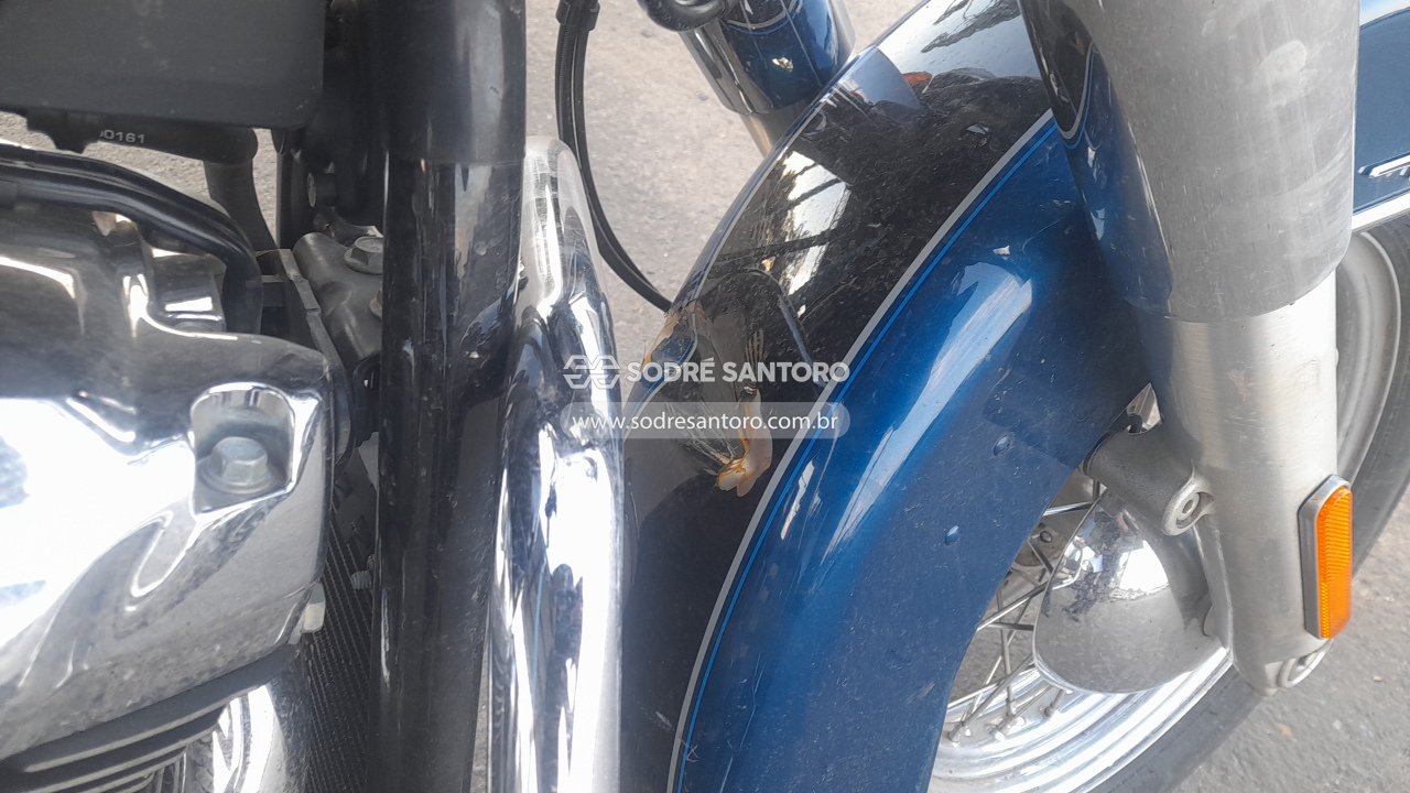 Foto 10 de 11: HARLEY-DAVIDSON - FLHCS 2022/2022